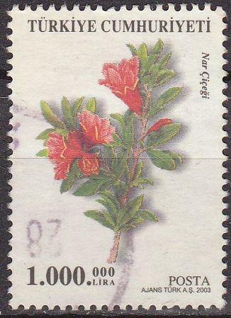 Turquia 2003 Scott 2863 Sello º Flora Granada Nar Cicegi Timbre Turquie Turkia